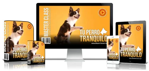 TU PERRO TRANQUILO